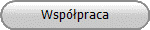 Wsp&oacute;�praca